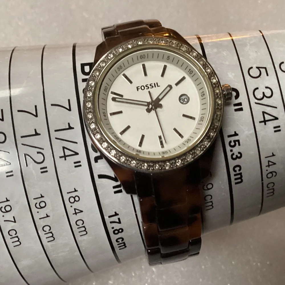 Fossil stella mini